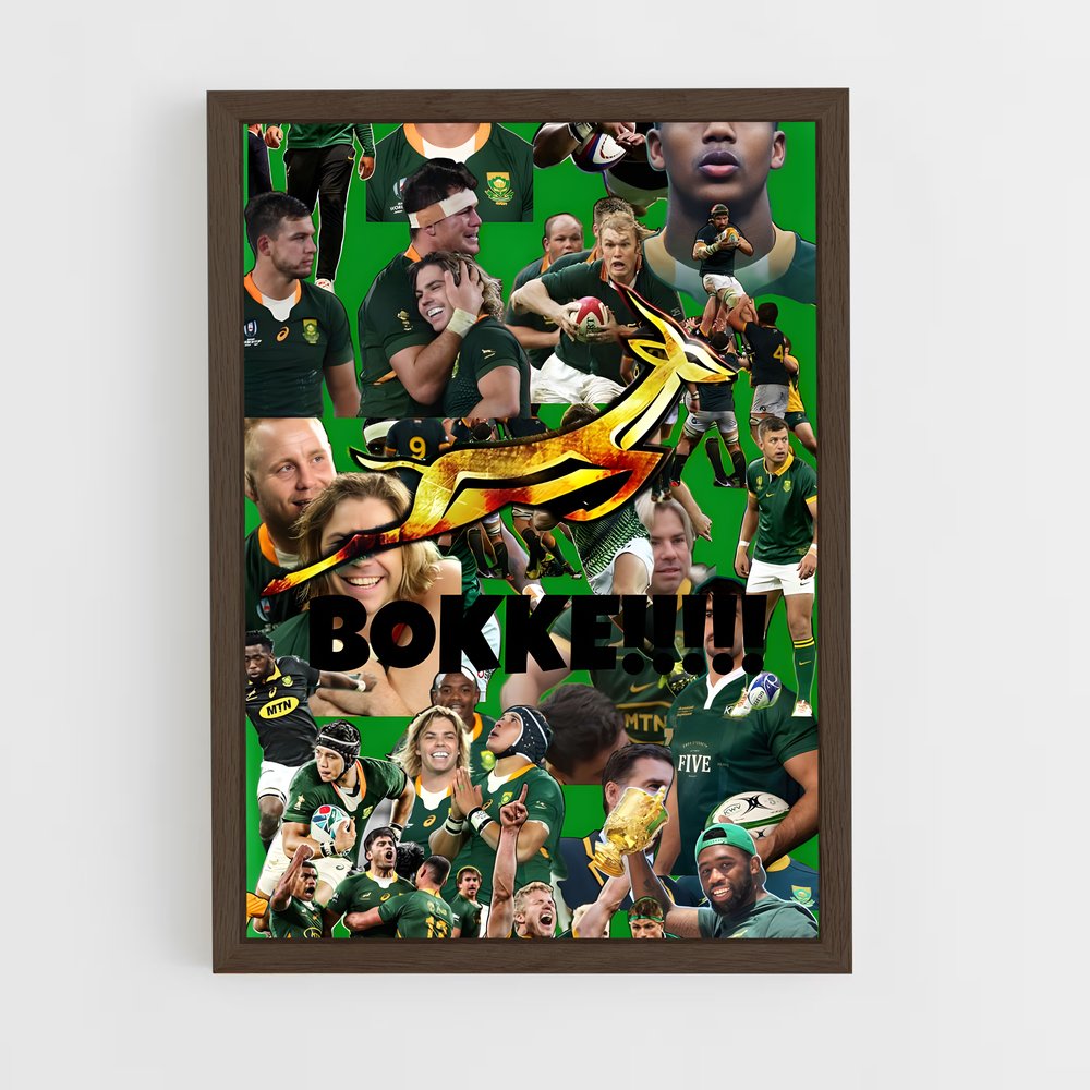 Poster L'Esprit des Springboks – affiche Rugby (vue 5)